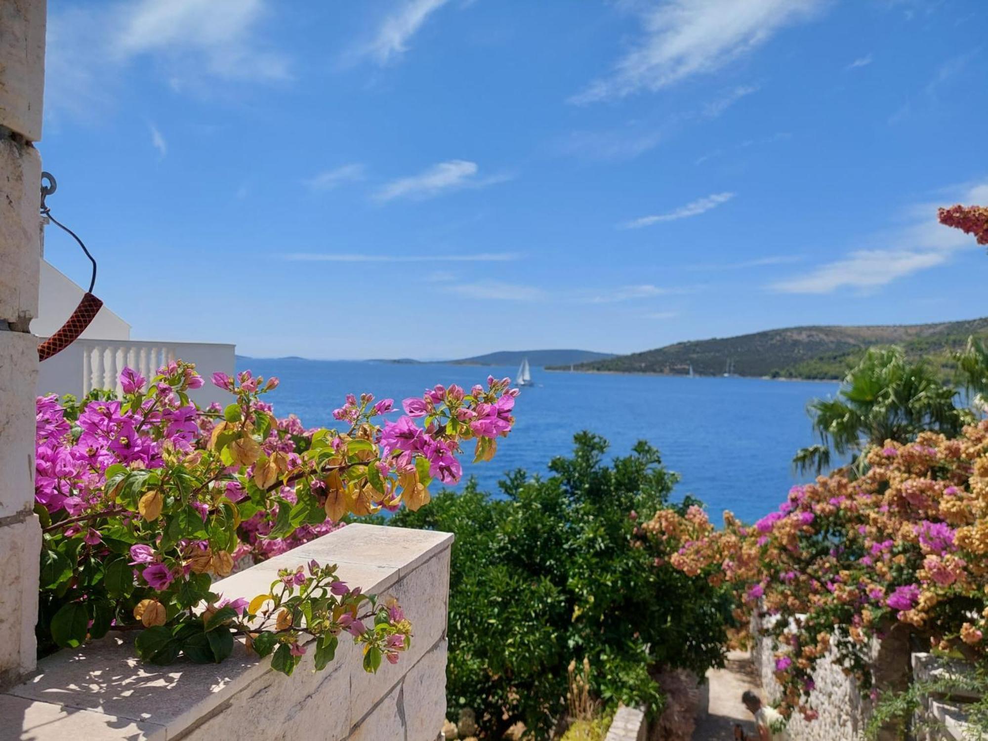 Villa Apartments Oliva Сегет-Враница Экстерьер фото